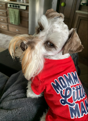 Professor Clovis in his Mommy's Little Man T-shirt