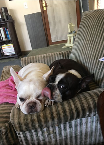 Popcorn and Jill in a Favorite Chair