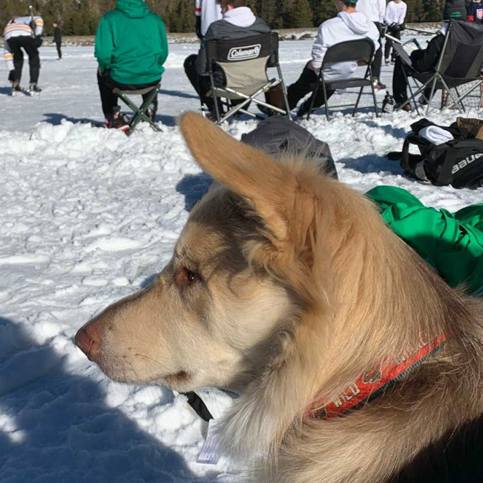 Samoa in the snow at a match.