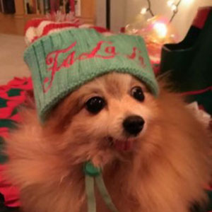 Super Scootie Sporting her Holiday Hat