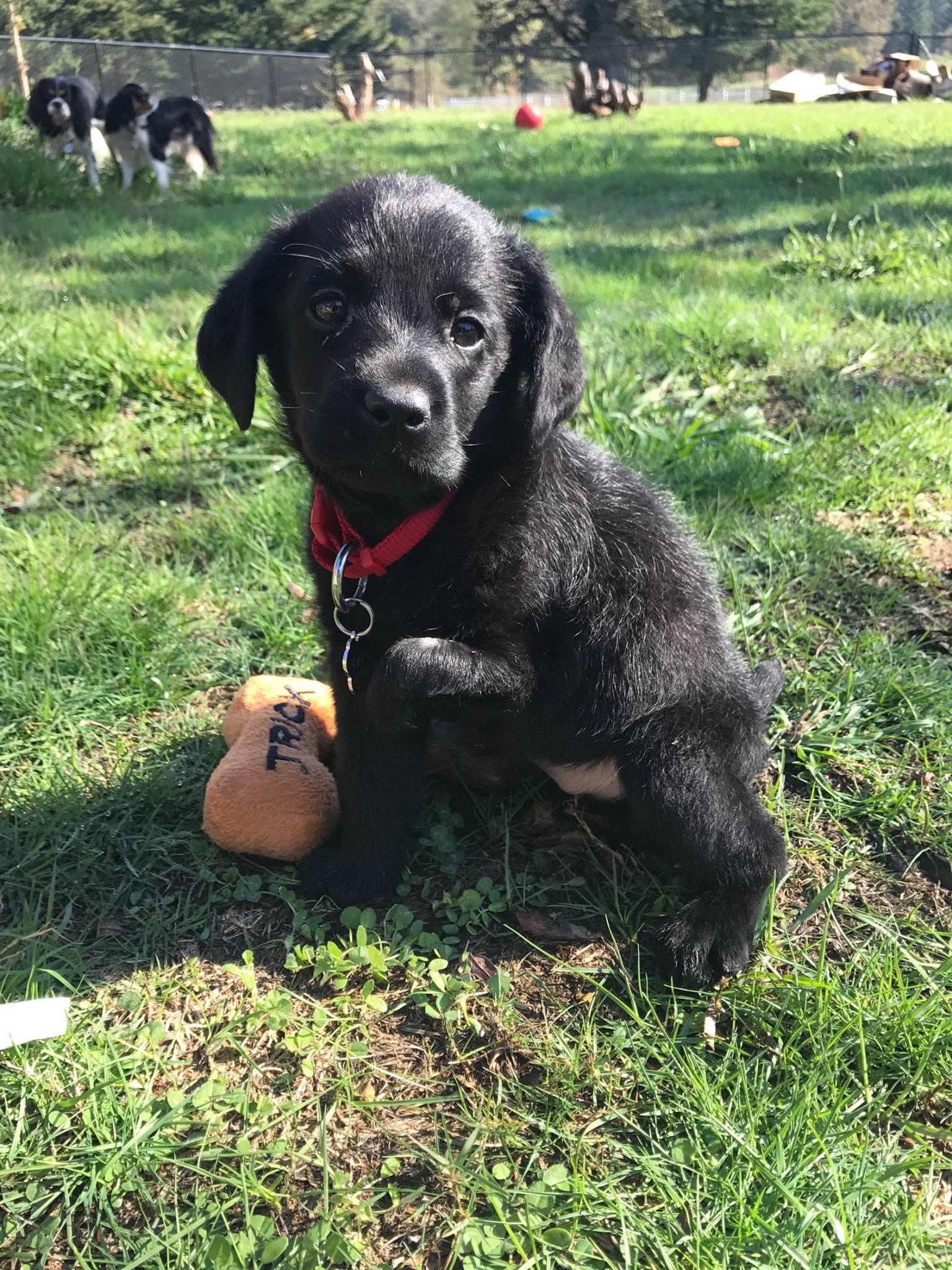 baby finley snow