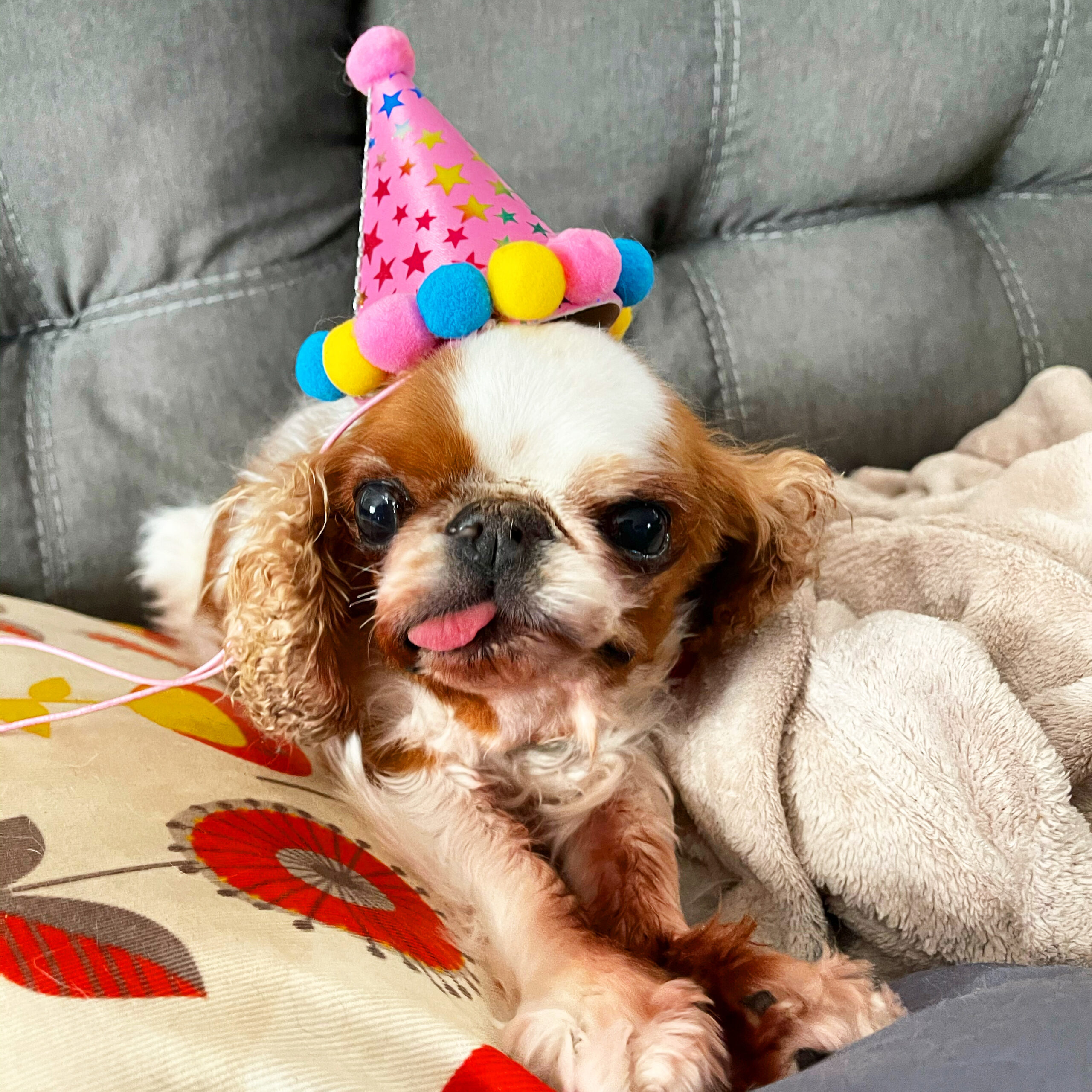 party hat