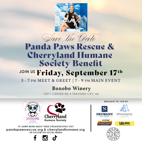 Home • Panda Paws Rescue | Amanda Giese